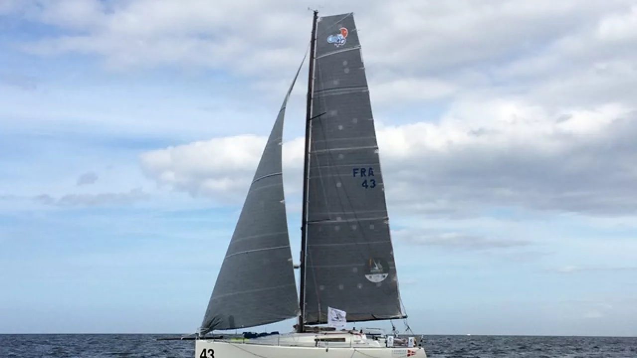 Palanad II (#43), vainqueur de la De Guingand Bowl Race