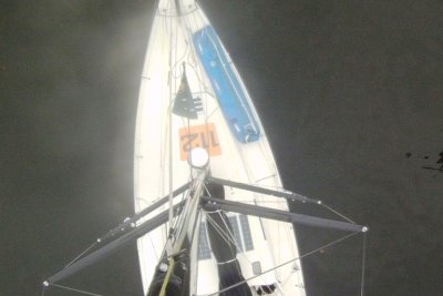 Jasmine Flyer