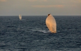 RORC Caribbean 600 / Tim Wright