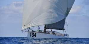 3134stellanova235801456515o.jpg