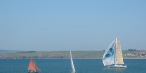 gppn---260408-003.jpg